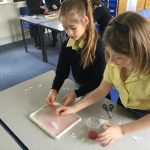 St-Marys-Lower-School-Science-Day-2019_thumb