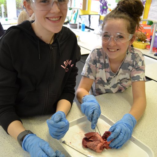 Dissections Science Week 2020