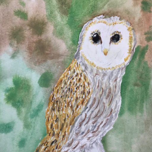 Owl Drawings Using Oil Pastels And Watercolours