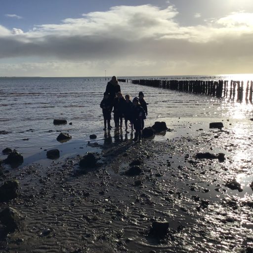 Year 1 And Year 2 Visit To East Mersea November 2019 (1)
