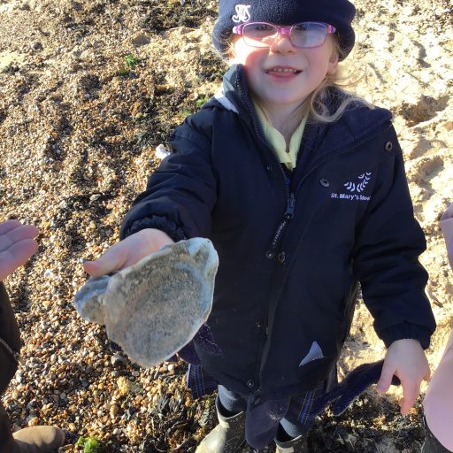 Year 1 And Year 2 Visit To East Mersea November 2019 (2)