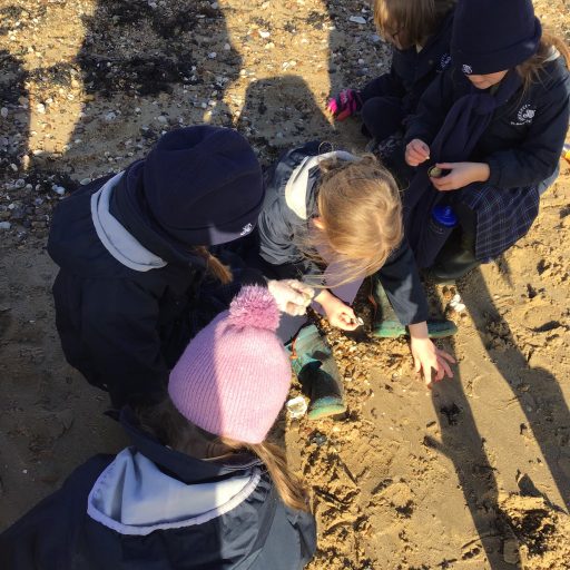 Year 1 And Year 2 Visit To East Mersea November 2019 (5)