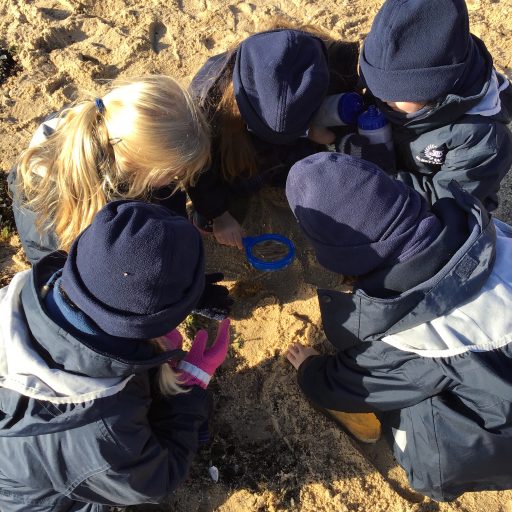 Year 1 And Year 2 Visit To East Mersea November 2019 (6)