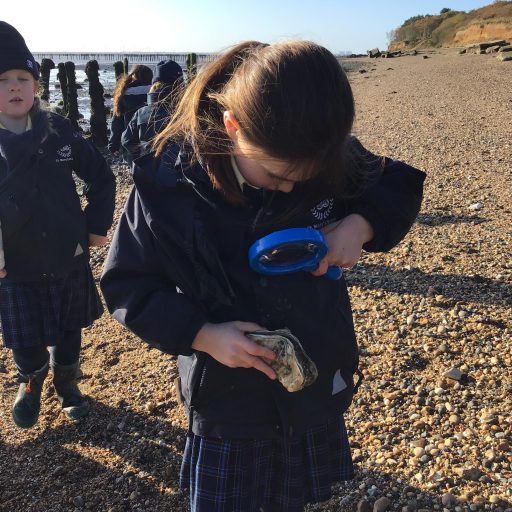Year 1 And Year 2 Visit To East Mersea November 2019 (9)