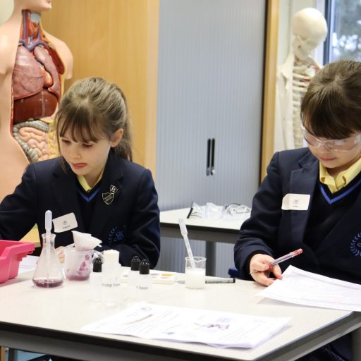 LS Year 4 Science Experience Event Jan 22 (14) (low Res)
