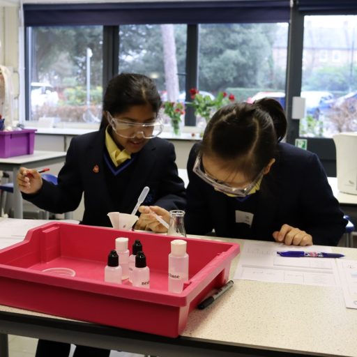 LS Year 4 Science Experience Event Jan 22 (8) (low Res)