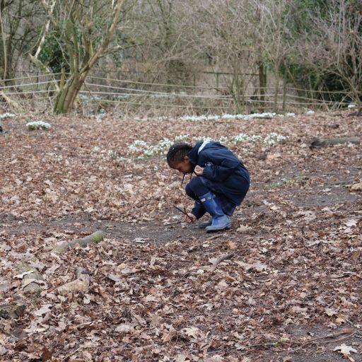 Year 2 Forest School Mindful Session (12)