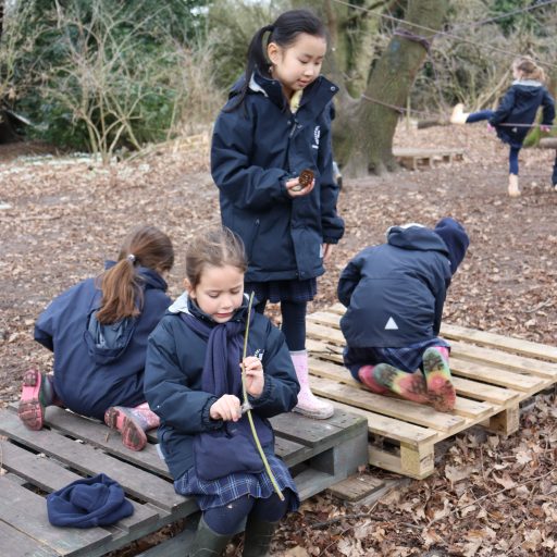 Year 2 Forest School Mindful Session (15)
