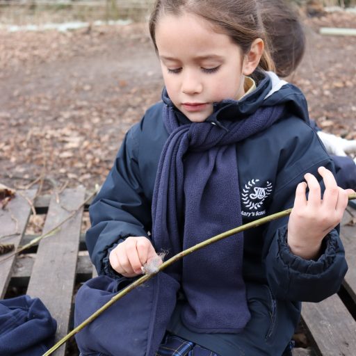 Year 2 Forest School Mindful Session (16)