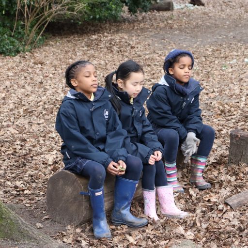 Year 2 Forest School Mindful Session (2)
