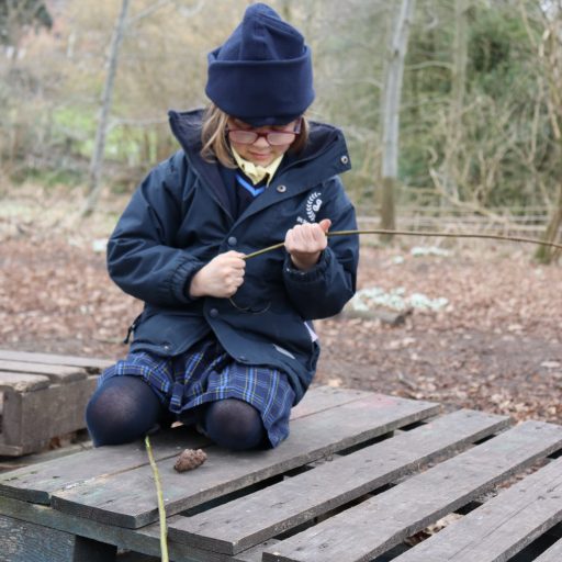 Year 2 Forest School Mindful Session (8)