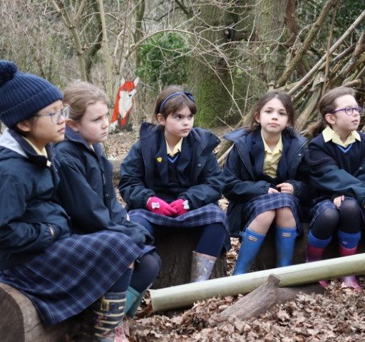 Year 4 Forest School Mindful Session (18) (Small)