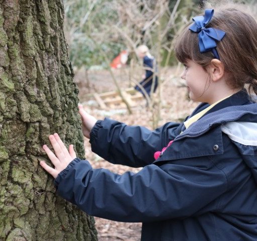 Year 4 Forest School Mindful Session (25) (Small)