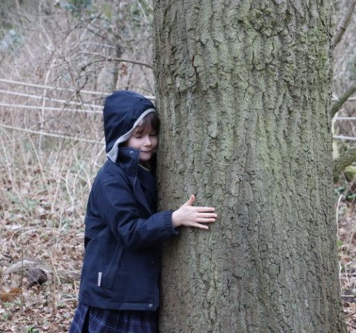 Year 4 Forest School Mindful Session (32) (Small)