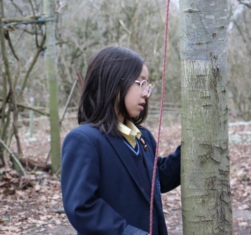 Year 4 Forest School Mindful Session (33) (Small)