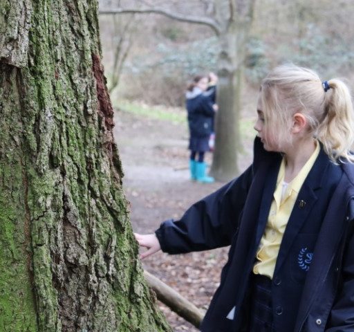 Year 4 Forest School Mindful Session (34) (Small)