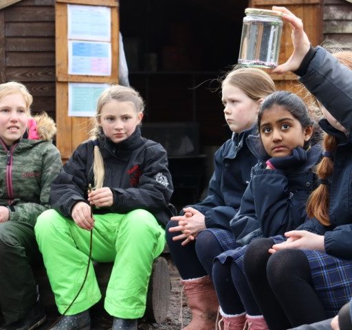 Year 5 Forest School Mindful Session (1) (Small)
