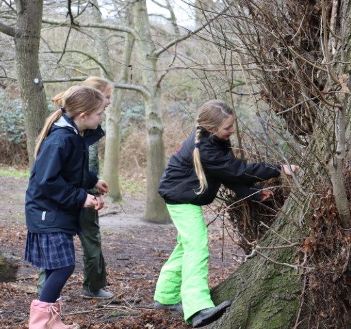 Year 5 Forest School Mindful Session (4) (Small)