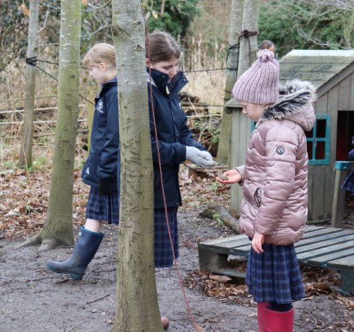 Year 5 Forest School Mindful Session (5) (Small)