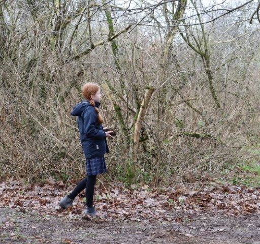 Year 5 Forest School Mindful Session (6) (Small)