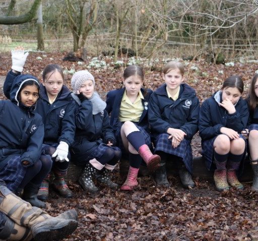 Year 6 Forest School Mindful Session (3) (Small)