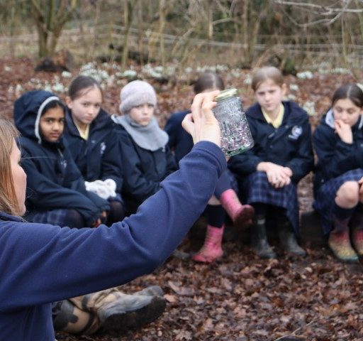 Year 6 Forest School Mindful Session (4) (Small)