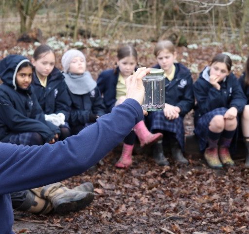 Year 6 Forest School Mindful Session (5) (Small)