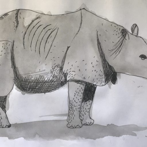 Y5 & Y6 Rhino Artwork (2)