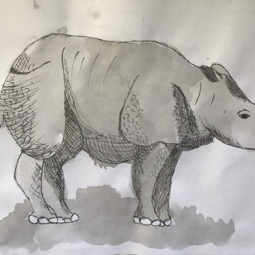 Y5 & Y6 Rhino Artwork (3)