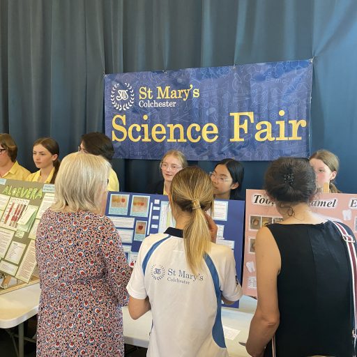 Y8 Science Fair June 22 (7)