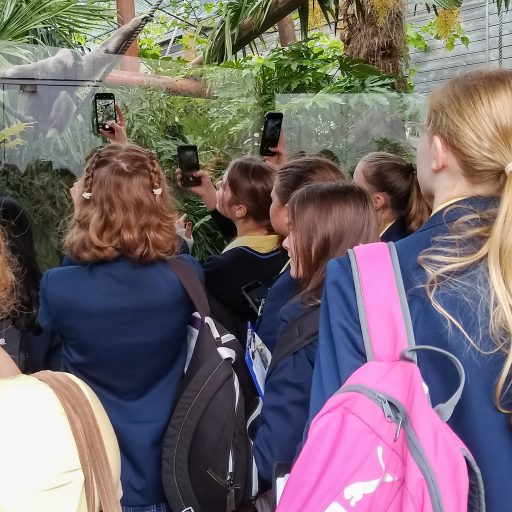 Y8 Science Visit To Colchester Zoo June 22 (2)