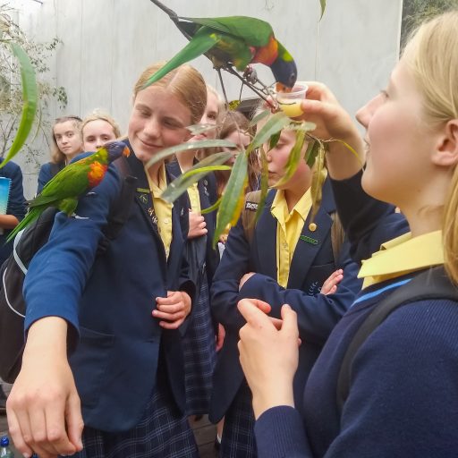 Y8 Science Visit To Colchester Zoo June 22 (5)