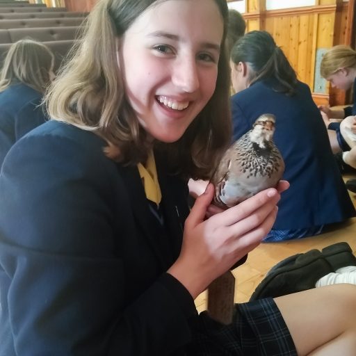 Y8 Science Visit To Colchester Zoo June 22 (7)