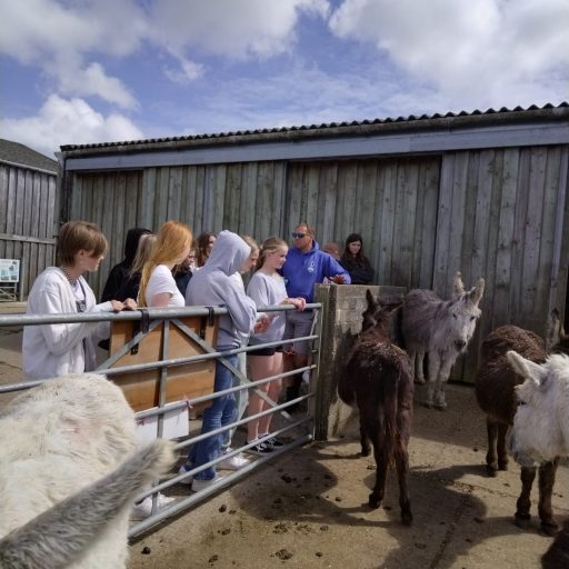 Y9 Activities Week 22 Day 1 Donkey Sanctuary (2)