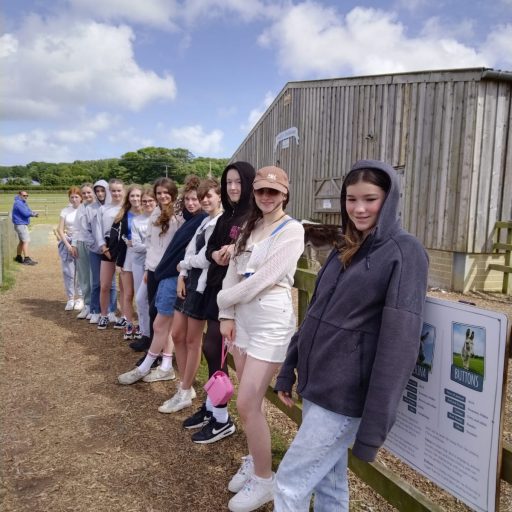 Y9 Activities Week 22 Day 1 Donkey Sanctuary (4)