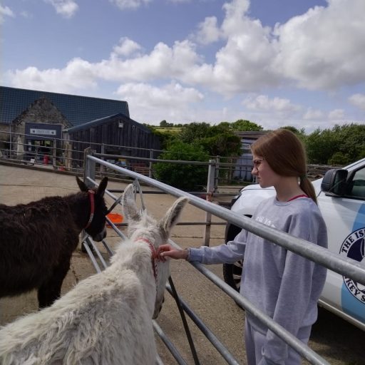 Y9 Activities Week 22 Day 1 Donkey Sanctuary (5)