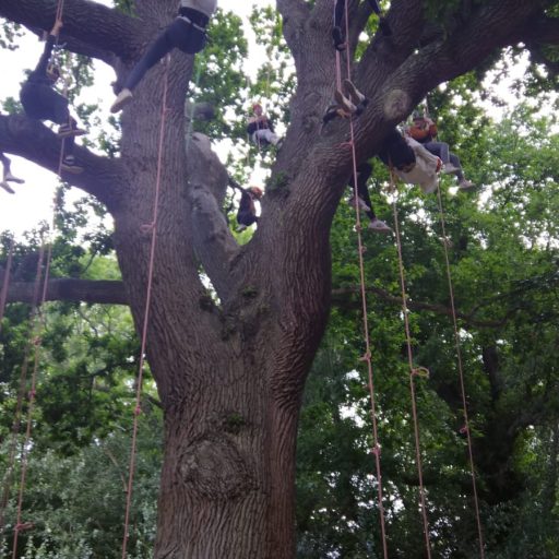 Y9 Activities Week 22 Day 2 Tree Climbing (3)