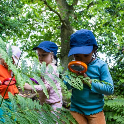 Four Preschool pupils in a Forest School session examining leaves with a microscope at St Mary's Kindergarten in Colchester